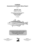 Atlantic Cod (Gadus morhua) - Registre public des espèces en péril