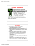 Enzymes: Introduction notes