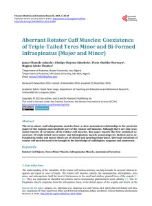 Aberrant Rotator Cuff Muscles: Coexistence of Triple