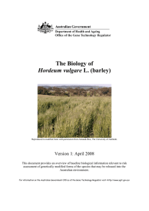 The Biology of Hordeum vulgare L. (barley)