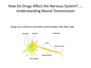 Neural Transmission - People Server at UNCW