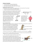 Newton`s 3rd Law Notes