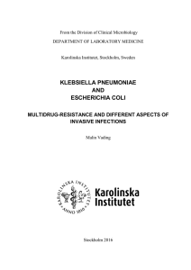 KLEBSIELLA PNEUMONIAE AND ESCHERICHIA COLI