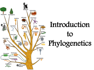 Introduction to Phylogenetics - Lectures For UG-5