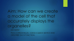 Aim: How can we create a model of the cell that accurately displays