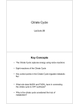 Citrate Cycle