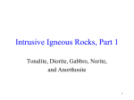 Tonalite, Diorite, Gabbro, Norite and Anorthosite