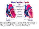 3_Cardiac_Cycle