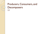 Producers, Consumers, and Decomposers