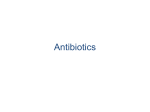 Antibiotics Workshop