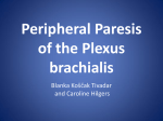 Peripheral Paresis of the Plexus brachialis