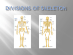 Divisions of Skeleton - Van Buren Public Schools