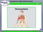 Homeostasis and kidneys
