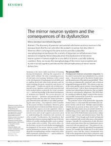 The mirror neuron system and the consequences of its dysfunction
