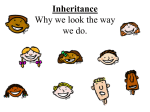 Inheritance Why we look the way we do