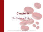 Chapter 11 The Endocrine System