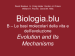 Evolution and Its Mechanisms - Zanichelli online per la scuola