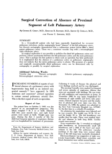 Segment of Left Pulmonary Artery