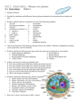 Cell Anatomy: Structures and Functions