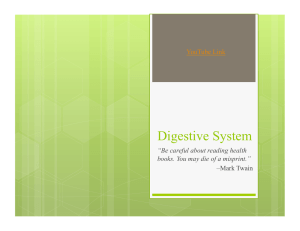 Digestive System