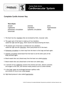 Complete Cardio Answer Key - KidsHealth in the Classroom