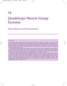 14 Quadriceps Muscle Group Excision