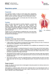 Respiratory system