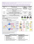 STANDARD 3 EOC 2015