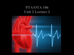 PTA/OTA 106 Unit 2 Lecture 2 Comparative Structure of Artery and