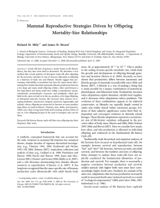 Mammal Reproductive Strategies Driven by Offspring Mortality