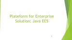 Plateform for Enterprise Solutions Java EE5