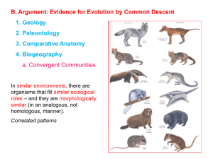 C. Mechanism: Natural Selection