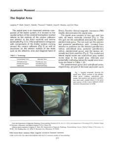 Anatomic Moment----------------------- The Septal Area