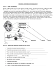 protein synthesis worksheet