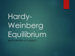 Hardy- Weinberg Equilibrium - Fort Thomas Independent Schools