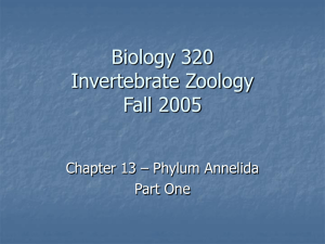 Biology 320 Invertebrate Zoology Fall 2005