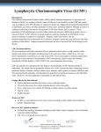 Lymphocytic Choriomeningitis Virus (LCMV)