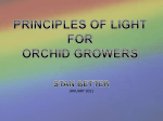 PRINCIPLES OF LIGHT