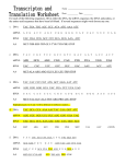 Transcripton/Translation Worksheet