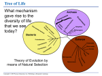 ppt on Darwin