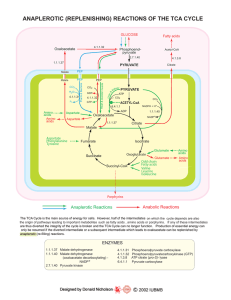 anaplerotic (replenishing) reactions of the tca cycle - Sigma