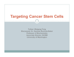 Targeting Cancer Stem Cells