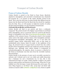 Transport of Carbon Dioxide