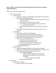 Nolte – Chapter 5 (Ventricles and Cerebrospinal