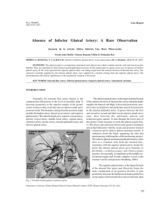 Absence of Inferior Gluteal Artery: A Rare Observation