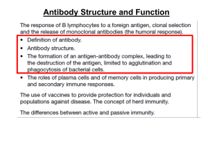 2 Antibodies - WordPress.com