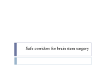 Safe corridors for brain stem surgery