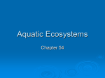 Aquatic Ecosystems