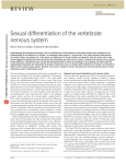Sexual differentiation of the vertebrate nervous system