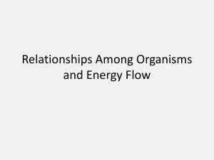 Relationships Among Organisms and Energy Flow